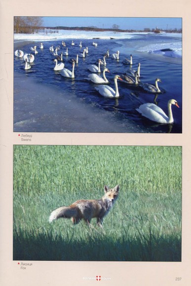 Волинь - шляхами до Європи / Волинь. Час. Люди. Історія. Погляд крізь об'єктив Волинь - шляхами до Європи / Волинь. Час. Люди. Історія. Погляд крізь об'єктив