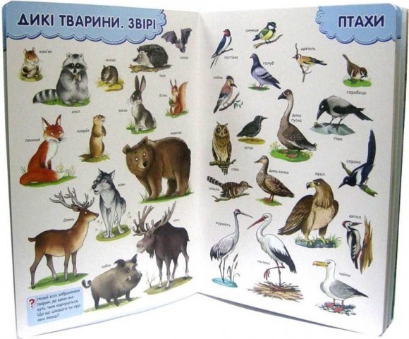 Розвиватика Розвиватика