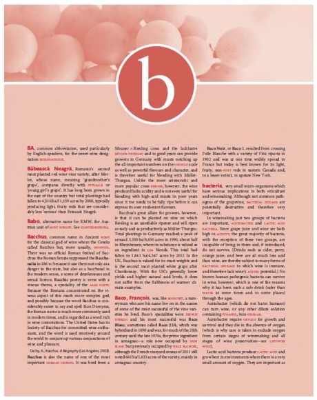 The Oxford Companion to Wine The Oxford Companion to Wine