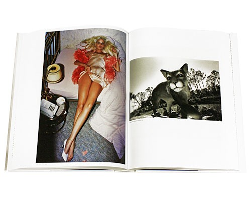 taschen_helmutnewtonsumo_paged_norm.jpg taschen_helmutnewtonsumo_paged_norm.jpg