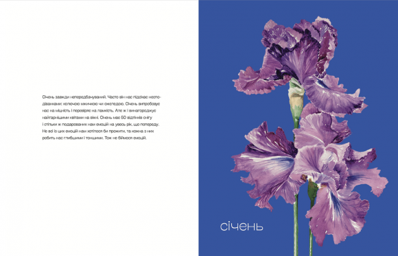 Квіти Перемоги Квіти Перемоги