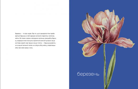 Квіти Перемоги Квіти Перемоги