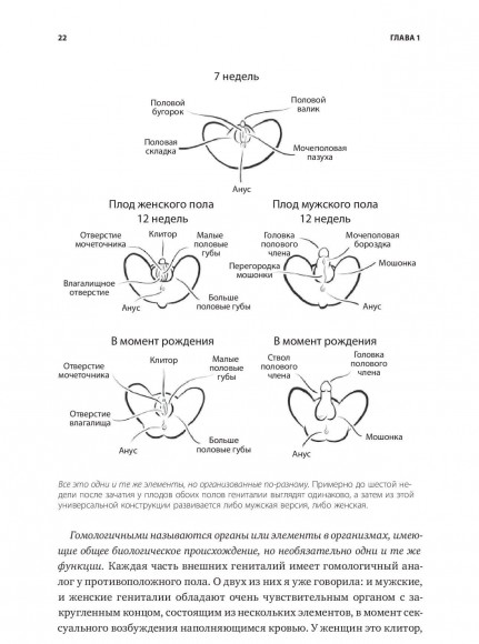 Как хочет женщина. Мастер-класс по науке секса Как хочет женщина. Мастер-класс по науке секса