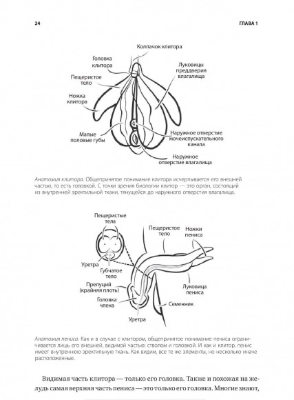 Как хочет женщина. Мастер-класс по науке секса Как хочет женщина. Мастер-класс по науке секса