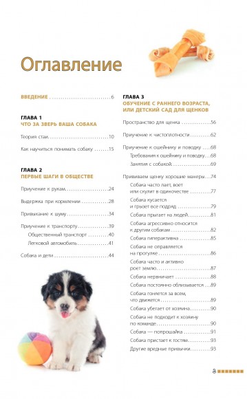 Дрессировка и воспитание собаки Дрессировка и воспитание собаки