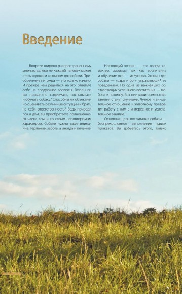 Дрессировка и воспитание собаки Дрессировка и воспитание собаки