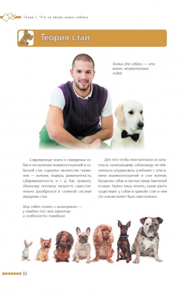 Дрессировка и воспитание собаки Дрессировка и воспитание собаки