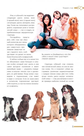 Дрессировка и воспитание собаки Дрессировка и воспитание собаки