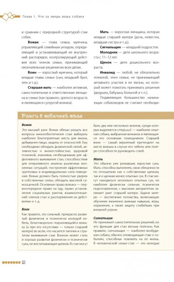 Дрессировка и воспитание собаки Дрессировка и воспитание собаки