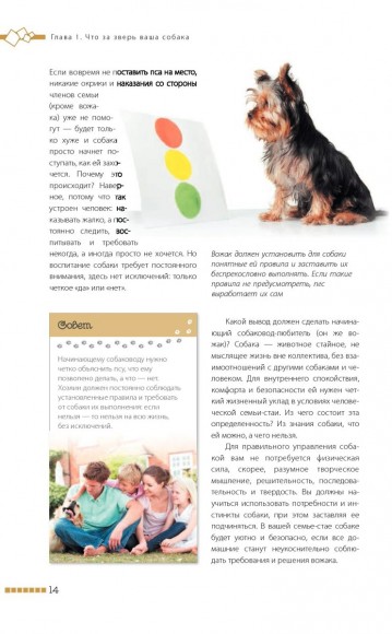 Дрессировка и воспитание собаки Дрессировка и воспитание собаки