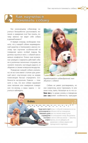 Дрессировка и воспитание собаки Дрессировка и воспитание собаки