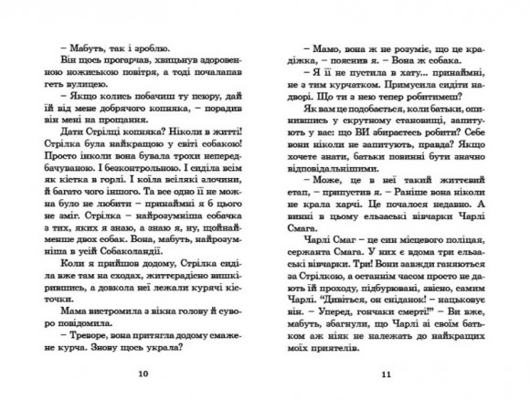 Розшукується Ракета на чотирьох лапах