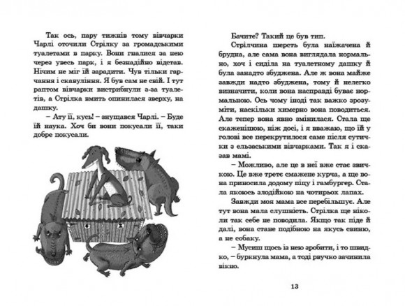 Розшукується Ракета на чотирьох лапах