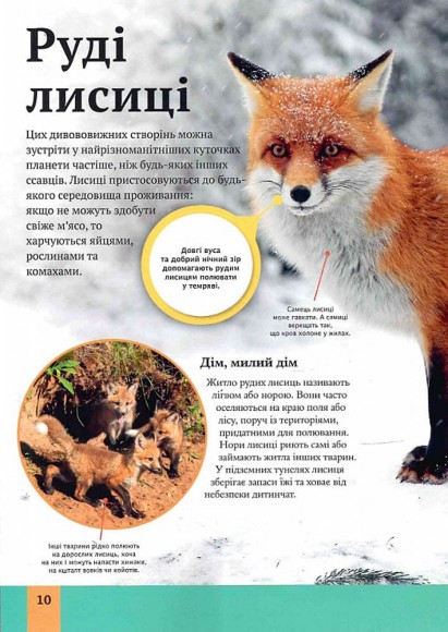 Дитяча енциклопедія хижаків Дитяча енциклопедія хижаків