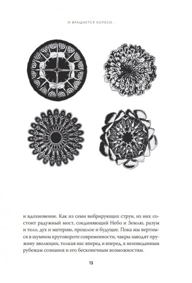 Чакры. Полная энциклопедия Чакры. Полная энциклопедия