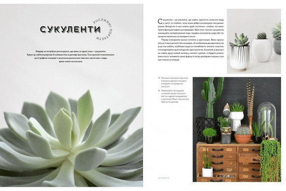 Міські джунглі. Або як рослини допомагають нам творити гармонію і стиль Міські джунглі. Або як рослини допомагають нам творити гармонію і стиль