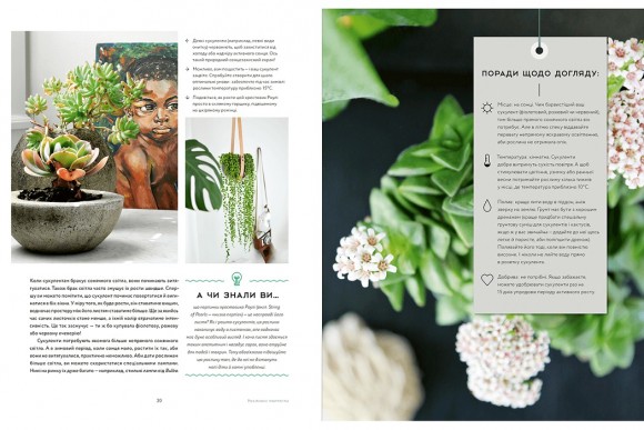 Міські джунглі. Або як рослини допомагають нам творити гармонію і стиль Міські джунглі. Або як рослини допомагають нам творити гармонію і стиль