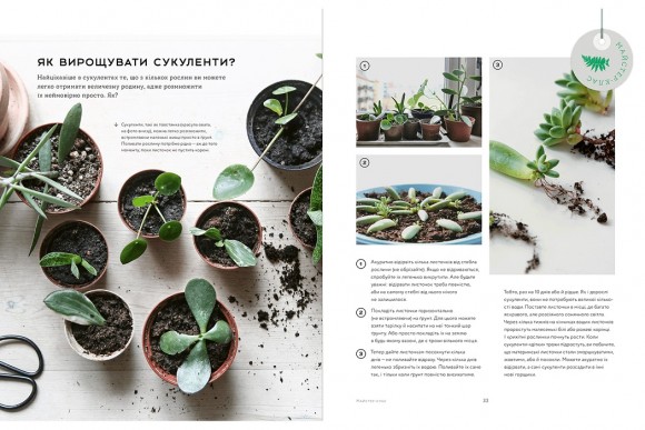 Міські джунглі. Або як рослини допомагають нам творити гармонію і стиль Міські джунглі. Або як рослини допомагають нам творити гармонію і стиль