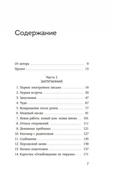 Муж под прикрытием. Шесть жизней мистера Джордана Муж под прикрытием. Шесть жизней мистера Джордана