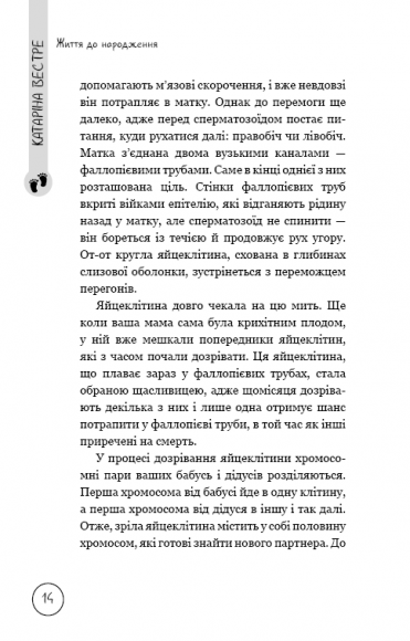 Життя до народження