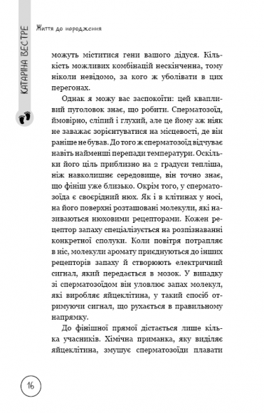 Життя до народження