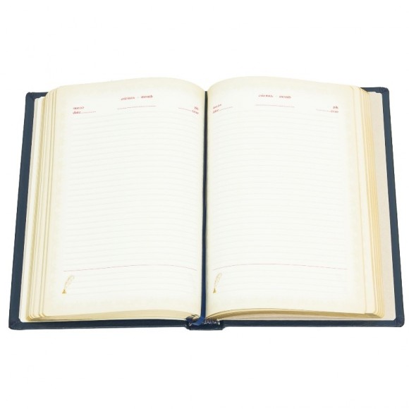 Щоденник "Прокуратура України" Щоденник "Прокуратура України"