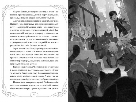 Опівнічні Коти. Книга 1. Школа фелідіксів