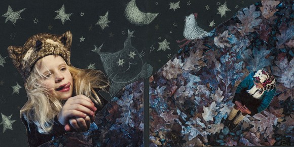 Сузір'я курки Сузір'я курки