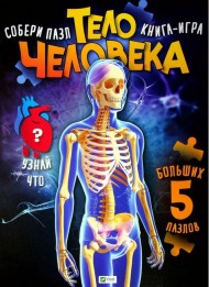 Тело человека Тело человека