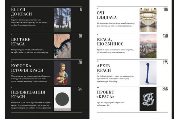 Заґмайстер і Волш. Краса (без сріблення обрізу) Заґмайстер і Волш. Краса (без сріблення обрізу)