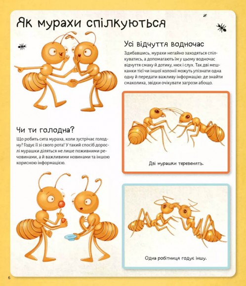 Світ мурах Світ мурах