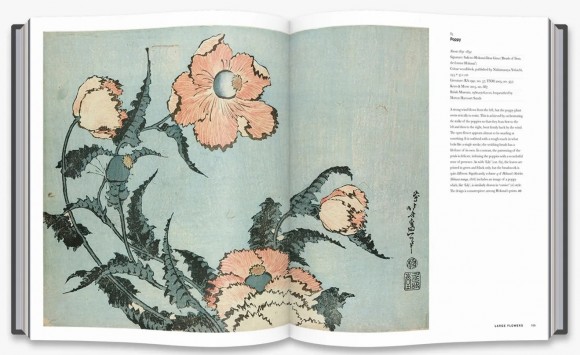 Hokusai: beyond the Great Wave