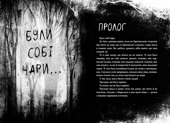 Були собі чаклуни. Чари перші Були собі чаклуни. Чари перші