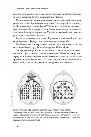 Навчитися вчитися. Як запустити свій мозок на повну Навчитися вчитися. Як запустити свій мозок на повну