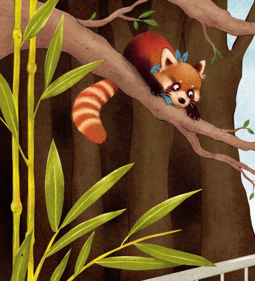 Мала панда Пай Мала панда Пай