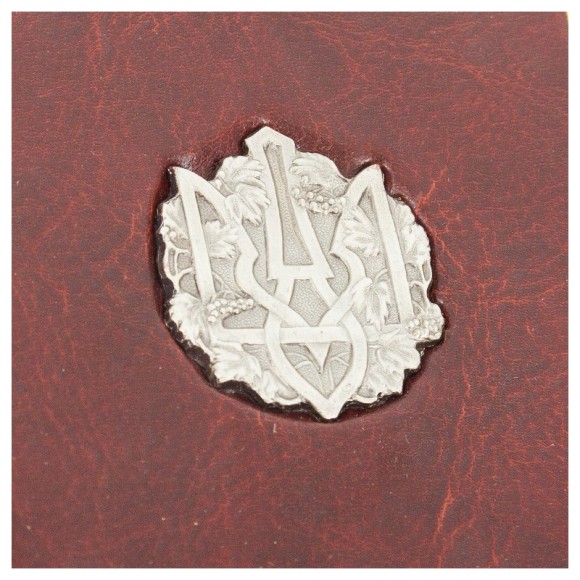 Украинская энциклопедия в 12 томах (13 книгах) Украинская энциклопедия в 12 томах (13 книгах)