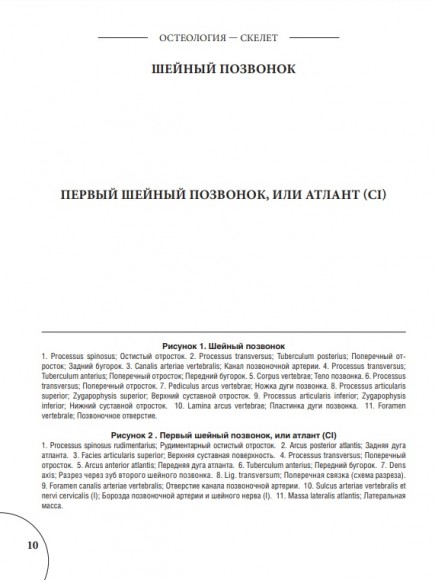 Анатомия Грея. Анатомические структуры с оригинальной и современной терминологией на английском, латинском и русском языках