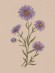 Флорографія: Ілюстрований довідник з вікторіанської мови квітів