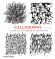 Calligraphy. A Book of Contemporary Inspiration Calligraphy. A Book of Contemporary Inspiration