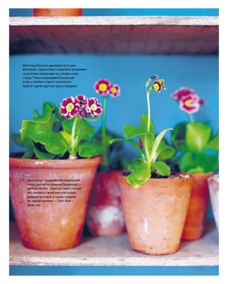 #Шелфі: Як комбінувати та розставляти речі на поличках #Шелфі: Як комбінувати та розставляти речі на поличках