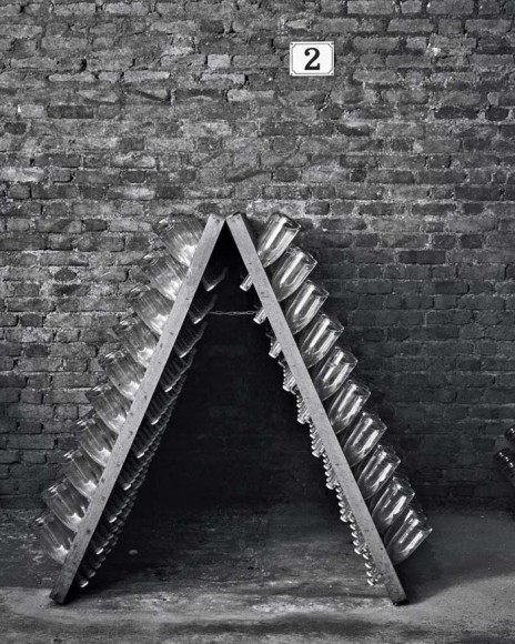 Champagne: The Essential Guide To The Wines, Producers And Terriors Of The Iconic Region Champagne: The Essential Guide To The Wines, Producers And Terriors Of The Iconic Region